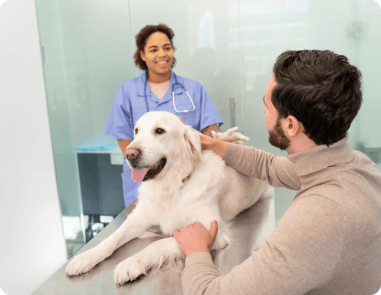 Pet Boarding Services