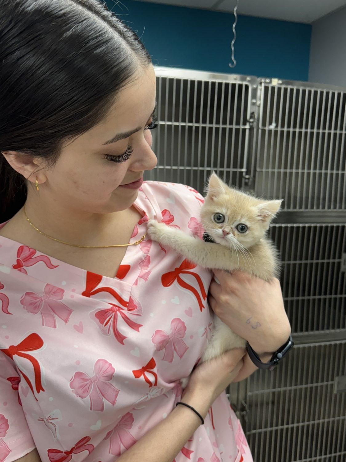 Girl holding kitten