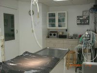 Surgical Suite