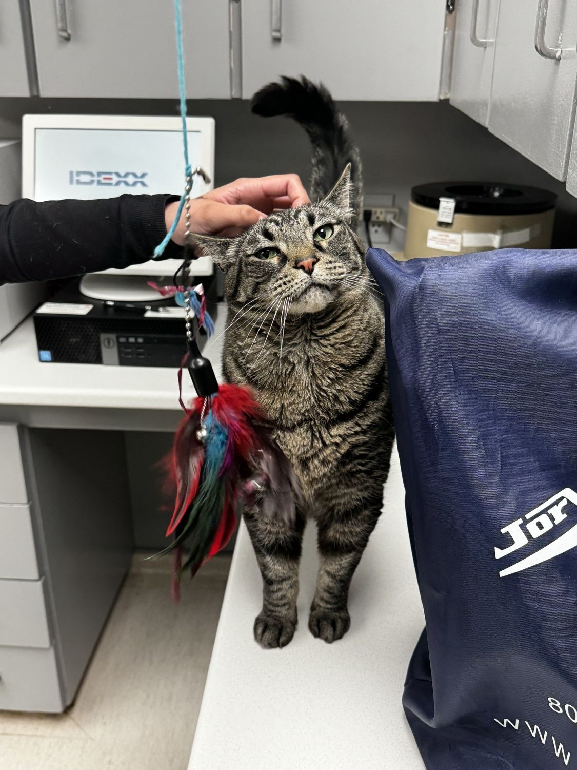 chester with staff